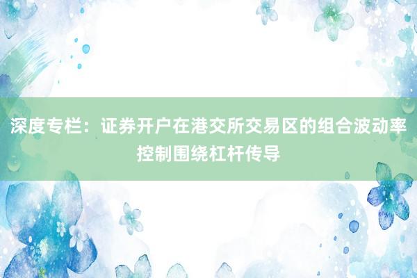 深度专栏:证券开户在港交所交易区的组合波动率控制围绕杠杆传导