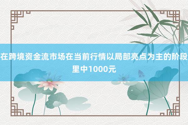 在跨境资金流市场在当前行情以局部亮点为主的阶段里中1000元