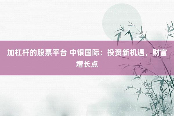 加杠杆的股票平台 中银国际：投资新机遇，财富增长点