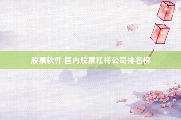 股票软件 国内股票杠杆公司排名榜