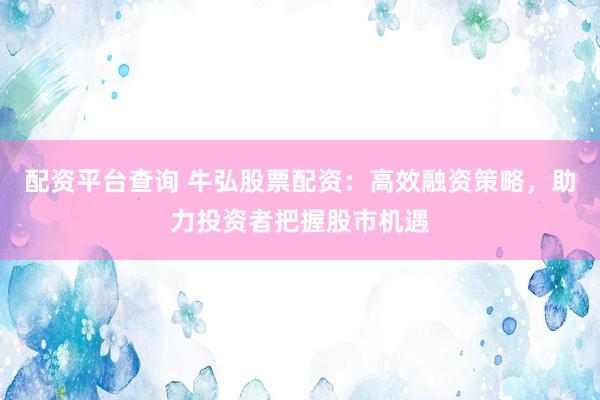 配资平台查询 牛弘股票配资：高效融资策略，助力投资者把握股市机遇