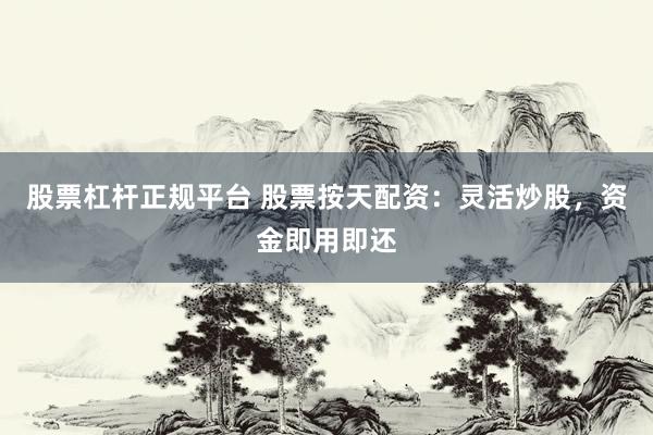 股票杠杆正规平台 股票按天配资：灵活炒股，资金即用即还