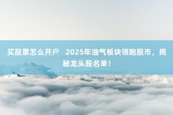买股票怎么开户   2025年油气板块领跑股市，揭秘龙头股名单！
